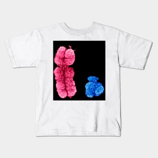 X and Y chromosomes (C003/0729) Kids T-Shirt